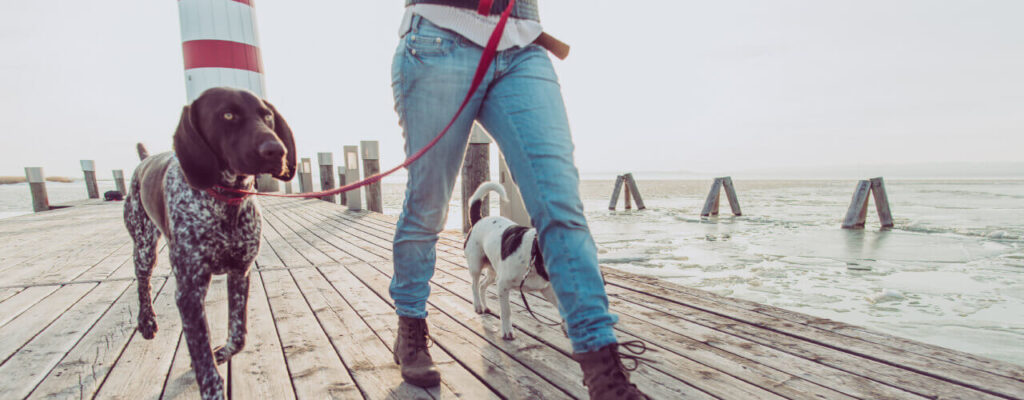 Physical therapy in Grand Junction CO