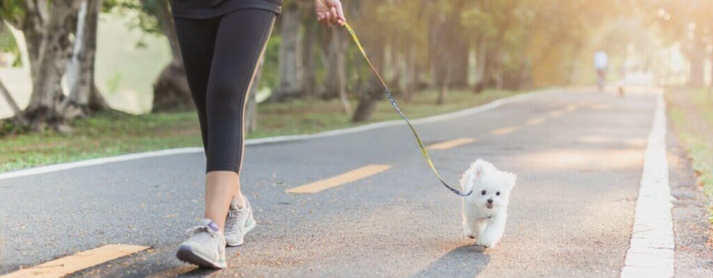 Physical therapy in Grand Junction CO